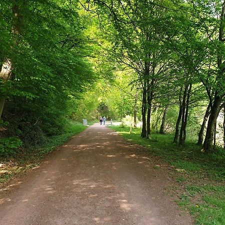 מרציג Ferienwohnung Am Saarweg מראה חיצוני תמונה